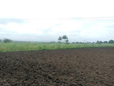 Residential Plot