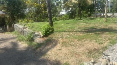 Image of 3920 Sq.ft Residential Plot / Land for sale in Aranattukara, Thrissur for Rs. 6480000