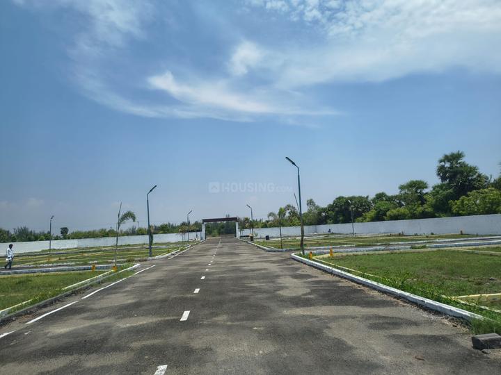 Tulip Garden Main Image 1