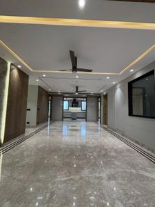 Hall Image of 2250 Sq.ft 3 BHK Builder Floor for sale in Sector 85 Faridabad for Rs. 22500000