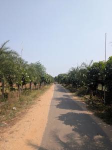 Image of 900 Sq.ft Residential Plot / Land for sale in Narayan Vihar, Jaipur for Rs. 7500000