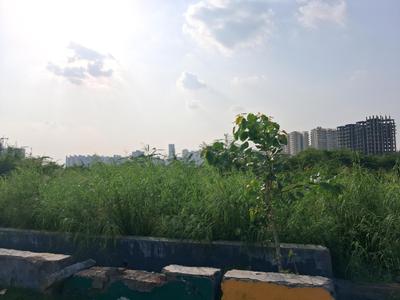 Image of 1800 Sq.ft Residential Plot / Land for sale in Sector 79, Noida for Rs. 30210000
