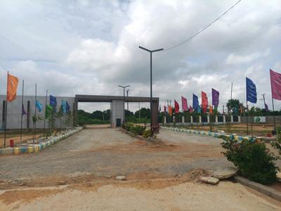 Century Nature City Internal Roads 2