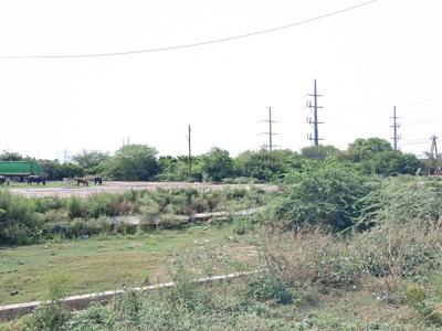 Sector 145 Plot View 1