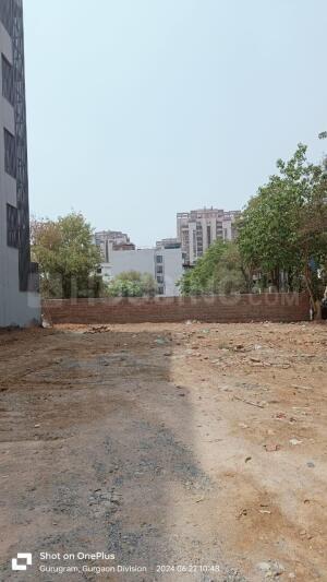 DLF Phase 4 Main Image 1