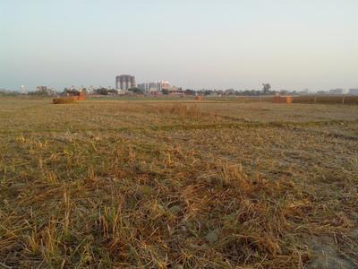 Singhpur Plot View 2