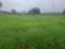 Mhow Main Image 1