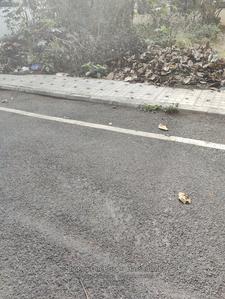 Image of 1200 Sq.ft Residential Plot / Land for sale in Vidyaranyapura, Bengaluru for Rs. 18500000