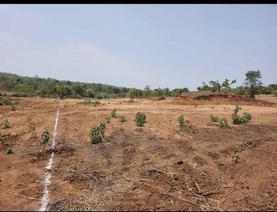 Image of 1089 Sq.ft Residential Plot / Land for sale in Pen, Raigad for Rs. 208500