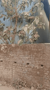 Image of 435 Sq.ft Residential Plot / Land for sale in Kathal More, Ranchi for Rs. 1800000
