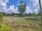 Padappai Plot View 2