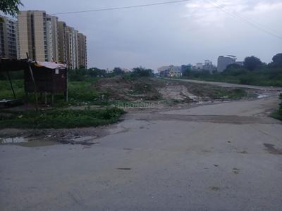 Sector 12 Plot View 3