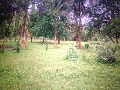 Image of 1089 Sq.ft Residential Plot / Land for sale in Mothijui, Navi Mumbai for Rs. 568000