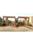 HEARTH HOMES SARKANDA Main Image 1