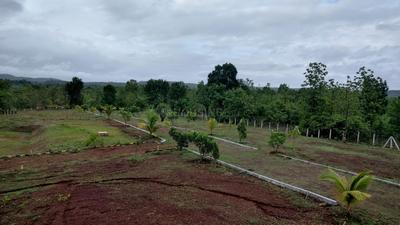 Image of 2000 Sq.ft Residential Plot / Land for sale in Murbad, Thane for Rs. 1320000