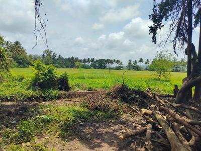 Image of 1825 Sq.ft Residential Plot / Land for sale in Socorro, Goa for Rs. 91200000