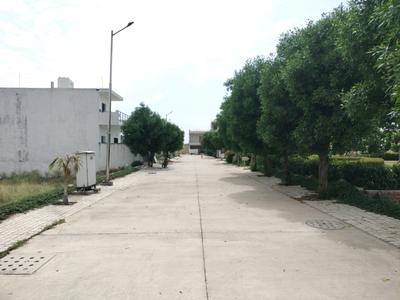 Soha Neal City Internal Roads 2