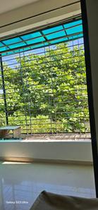 Balcony Image of 960 Sq.ft 2 BHK Apartment / Flat for rent in Indira Nagar Nashik for Rs. 20000