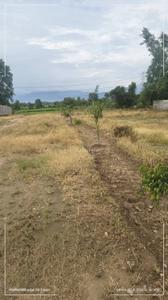 Image of 1800 Sq.ft Residential Plot / Land for sale in Dharmawala, Dehradun for Rs. 4000000
