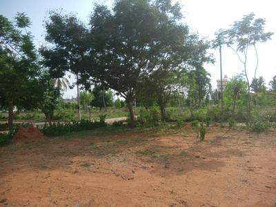 Residential Plot