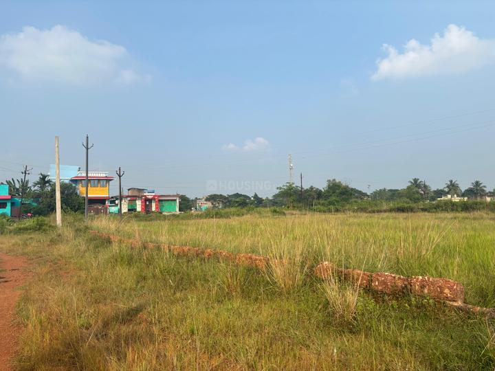 Tamando Main Image 1