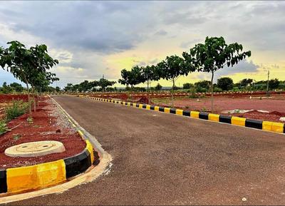 Residential Plot