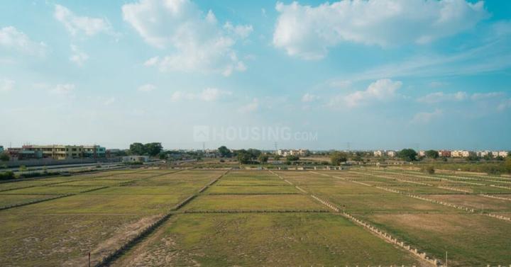 Mirrikh Residential Plot In Dholera Smart City Main Image 1