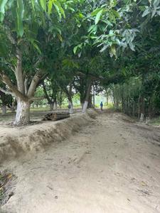 Image of 1089 Sq.ft Residential Plot / Land for sale in Ulwe, Navi Mumbai for Rs. 750000