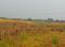 Sarde Plot View 2
