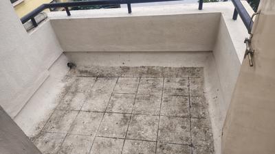 Balcony Image of 2000 Sq.ft 4 BHK Apartment / Flat for rent in Nashik Road Nashik for Rs. 30000