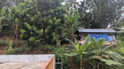 Image of 1350 Sq.ft 4 BHK Independent House for sale in Thiruvalla, Pathanamthitta for Rs. 8500000