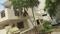 Nehru Colony More Images 1