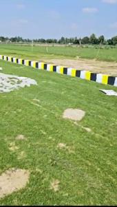 Magrahua Plot View 3