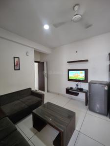 Hall Image of 1200 Sq.ft 2 BHK Apartment / Flat for rent in Old Palasia Indore for Rs. 23500