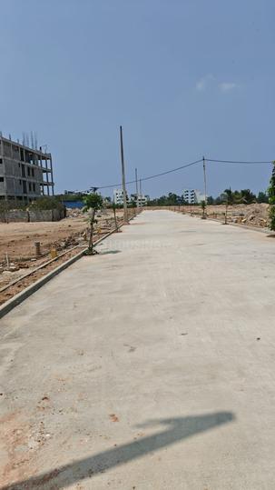 Phase 1 Main Image 1