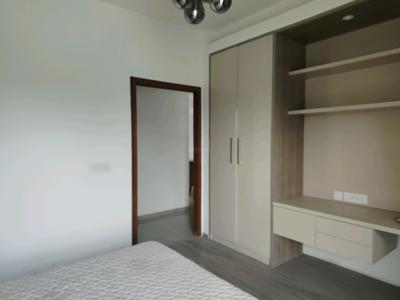 Bedroom Image of 1704 Sq.ft 3 BHK Apartment / Flat for sale in Tulip Yellow, Sector 69 Gurgaon for Rs. 22300000
