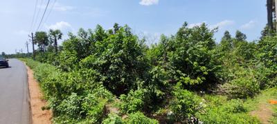 Image of 1060 Sq.ft Residential Plot / Land for sale in Bhogapuram, Vizianagaram for Rs. 7500000