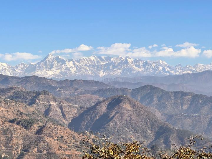Near By Jim Corbett Main Image 1