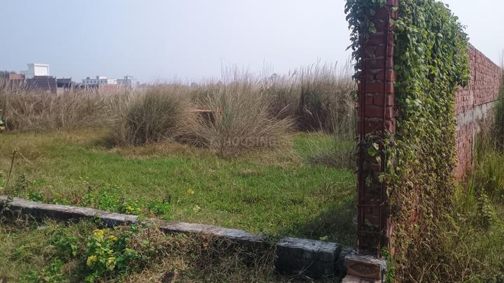 Sarai Gulharia Main Image 1