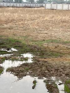 Image of 3352 Sq.ft Residential Plot / Land for sale in Naya Raipur, Raipur for Rs. 2700000