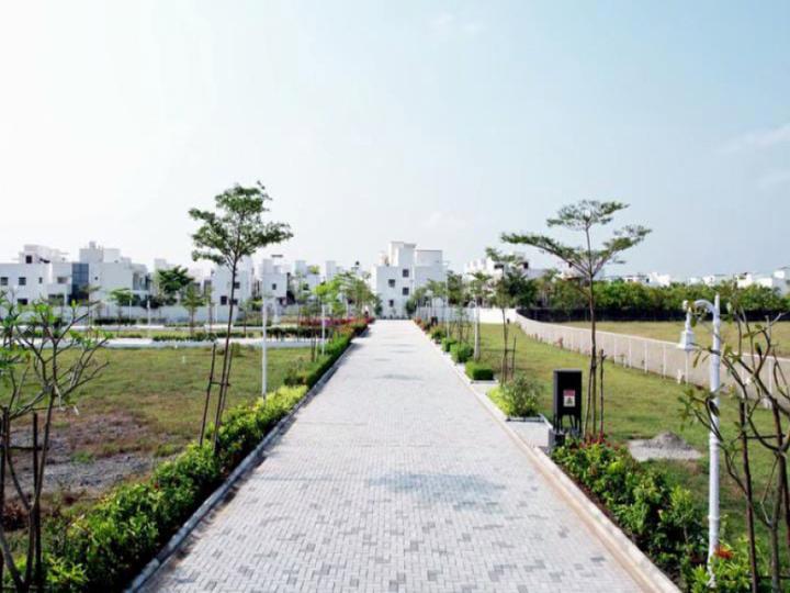 Stone and Acres Flora O2 Main Image 1
