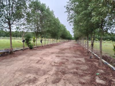 Image of 14000 Sq.ft Residential Plot / Land for sale in Kachipuram Town, Kanchipuram for Rs. 4200000