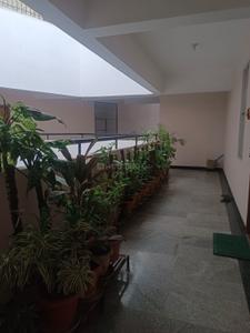 Balcony Image of 1250 Sq.ft 2 BHK Apartment / Flat for rent in Indira Nagar Bengaluru for Rs. 75000