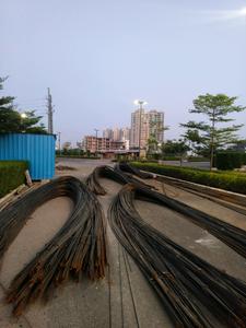 Image of 171 Sq.ft Residential Plot / Land for sale in Skywhales Vienna Greens, Sector 99A, Gurgaon for Rs. 31500003