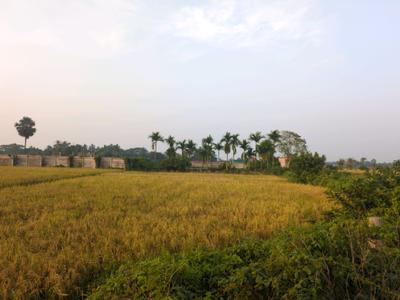 Image of 1440 Sq.ft Residential Plot / Land for sale in New Town, Kolkata for Rs. 2700000