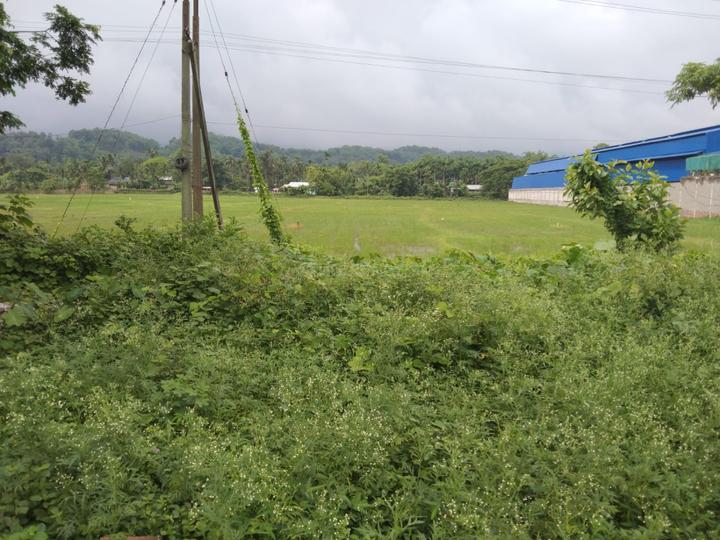 Sonapur Main Image 1