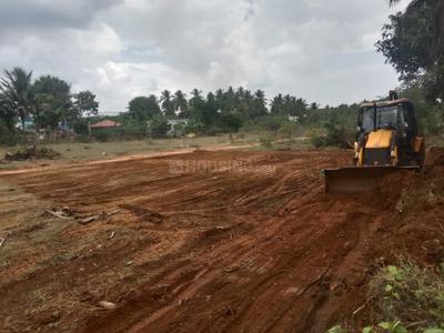 Image of 3877 Sq.ft Residential Plot / Land for sale in Sri Angalamman Puram, Belladhi, Coimbatore for Rs. 3159000