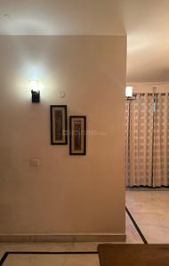 Hall Image of 1350 Sq.ft 2 BHK Builder Floor for rent in Sector 17 Gurgaon for Rs. 40000