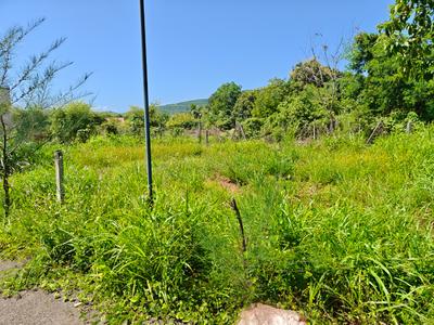 Image of 2723 Sq.ft Residential Plot / Land for sale in Shrivardhan, Raigad for Rs. 220000