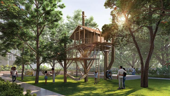 Arkade Rare Main Image 1